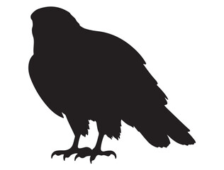 HAWK BIRD SILHOUETTE