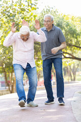 Laughing old male friends spending leisure time at park