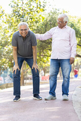 Obraz premium Laughing old male friends spending leisure time at park