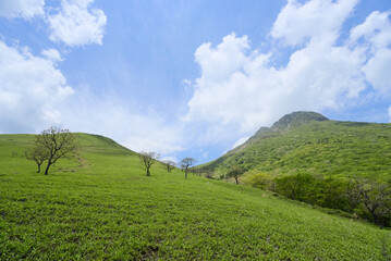 Fototapeta premium 南側から望む大分県の飯森ヶ城と由布岳