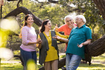 Group of indian senior male and woman friends At park 