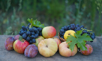 In the lap of nature, various fruits picked on a board