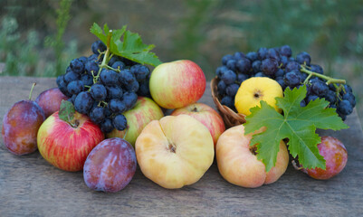 In the lap of nature, various fruits picked on a board