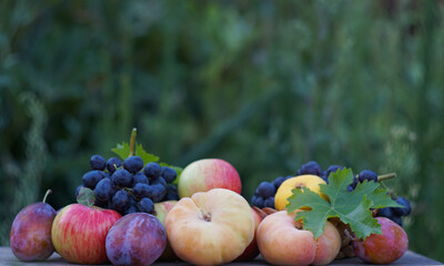 In the lap of nature, various fruits picked on a board