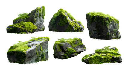 Collection of natural rocks covered in lush green moss against a white background for creative design projects