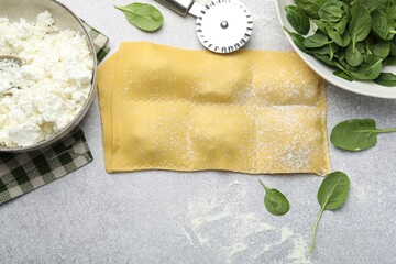 Uncooked ravioli, cottage cheese and spinach on light table, flat lay