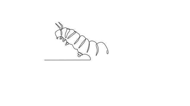 Animated self drawing of Caterpillar insect animal video design illustration. Insect animal themes in simple linear style video design concept. Bee insect for your asset design and educational purpose