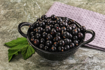 Ripe black currant in the bowl