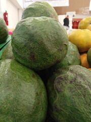 Large avocados are sold in supermarkets