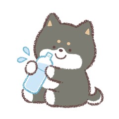 水分補給をする黒柴犬