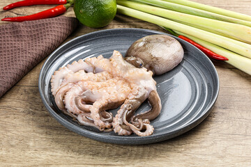 Raw fresh octopus for cooking