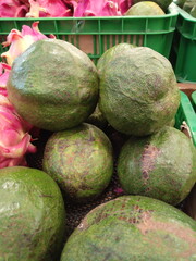 Large avocados are sold in supermarkets