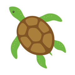 cute turtle in flat style