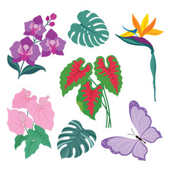 tropical plants set, flat style