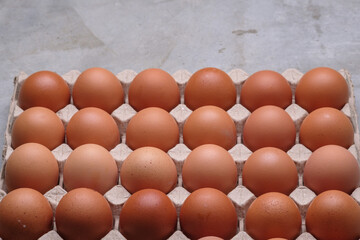 a cardboard egg tray container full with chicken eggs lay on gray color concrete background