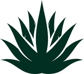 Aloe Vera silhouette vector icon   