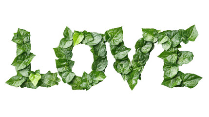 Love Spelled in Green Leaves