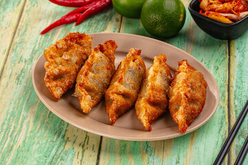 Asian fried stuffed dumplings gyoza