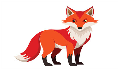 Cute cartoon fox illustration white background