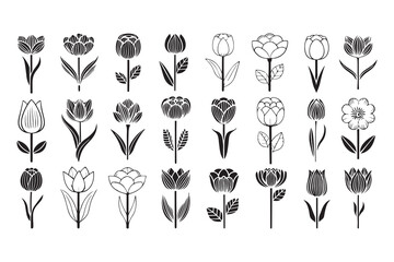 Tulip line art 