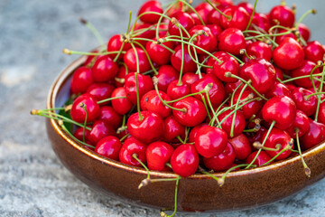 Freshly picked red cherries from the tree, in a bowl in the garden