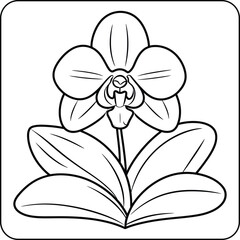Orchid Plant Coloring Page