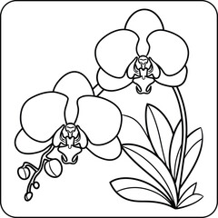 Orchid Flower Bold Line Coloring Page