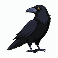 crow on a white background