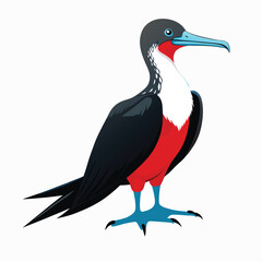 vector illustration of a bird