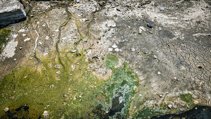 Dry Polluted Canal with Algae.