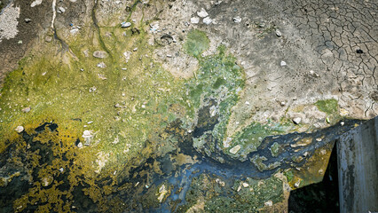 Dry Polluted Canal with Algae.