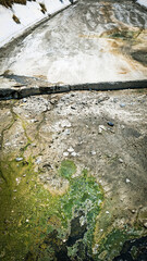 Dry Polluted Canal with Algae.