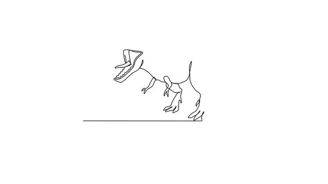 Animated self drawing of Tyrannosaurus animal video design illustration. Family Dinosaur themes in simple linear style video design concept. Dinosaur for your asset design and educational purpose.