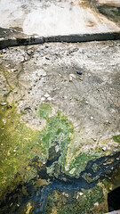 Dry Polluted Canal with Algae.