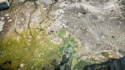 Dry Polluted Canal with Algae.