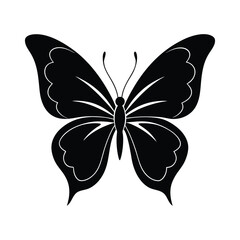 butterfly vector illustration