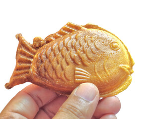 Hand Holding Taiyaki Fish-Shaped Japanese Dessert on White Background
