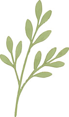 Fototapeta premium Fresh green leaves on stems, representing spring growth and vitality, great for botanical and nature-themed designs