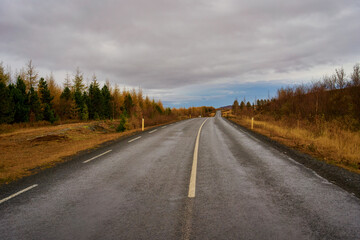 Wanderful straight road of the iceland with autumn trees on a cloudy day , Roadtrip for travel in iceland.