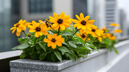 Bright yellow flowers bloom vibrantly in a concrete planter against an urban backdrop with blurred buildings.