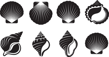 Set of eight detailed vector sea shells depicting various oceanic species silhouetted black and white