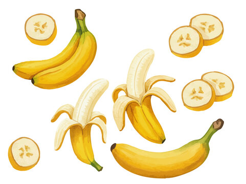 Vector watercolor banana / 水彩テイストのバナナイラスト