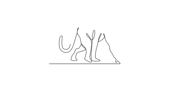 Animated self drawing of Patas Monkey video design illustration. Primates animal themes in simple linear style video design concept. Patas Monkey for your asset design and educational purpose.