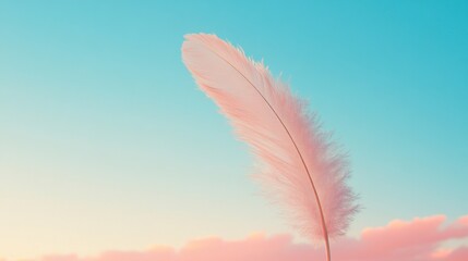 Naklejka premium Soft feather against pastel sky
