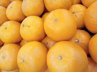 fresh oranges neatly arranged on supermarket shelves for sale