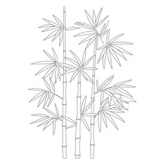 bamboo vector illustration
