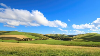 Obraz premium Vast open landscape of smooth rolling green hills under bright daylight, scattered white clouds drift across vibrant blue sky, no visible buildings or objects. Generative by AI