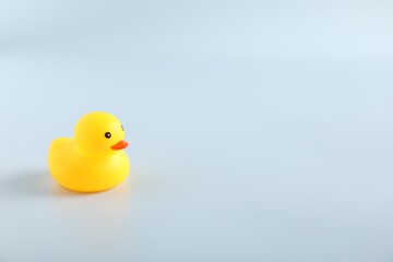 One cute rubber duck on white background, space for text