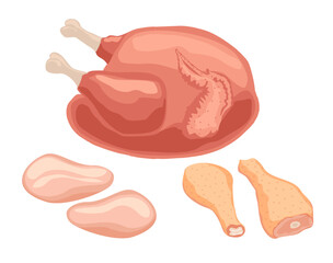 Chicken meat: chicken carcass, chicken legs, breast. Raw chicken with legs and wings, chicken fillet and frozen chicken meat flat vector illustration set