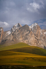 A vertical shot featuring majestic snow-capped mountain peaks towering over vast, golden and green...